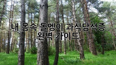 내 몸속 돌멩이? 과식담석증 완벽 가이드
